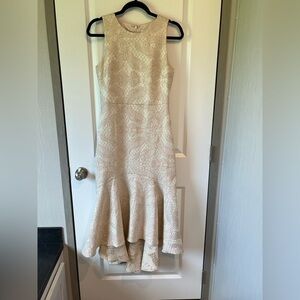 Elegant Cream Lace Mermaid Hem Dress